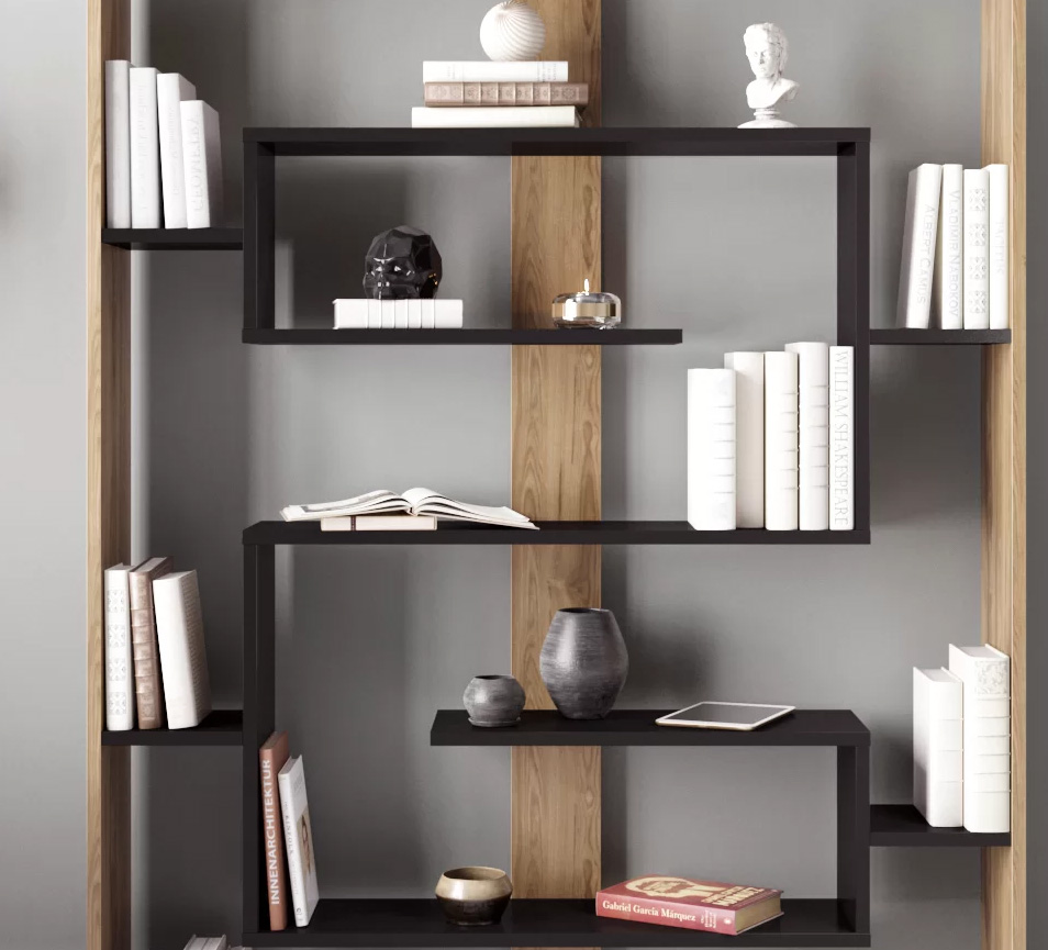 Book Shelves4